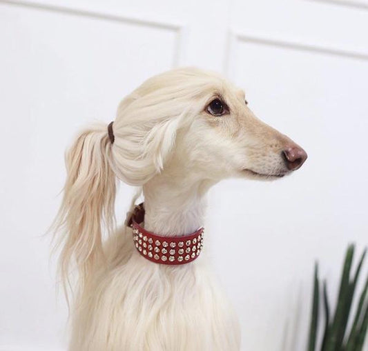 Oh You Trendy? - sellblingsting
